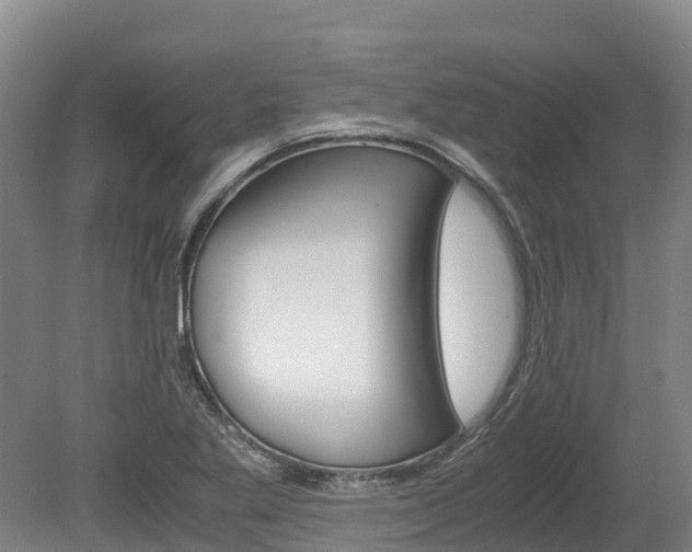 X0000078881269200611131044