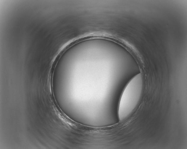 X0000078881272200611131044