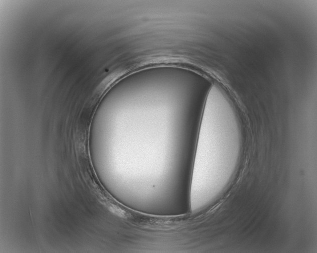 X0000078881273200611131044