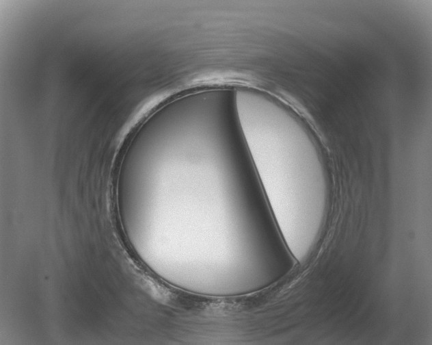 X0000078881277200611131044