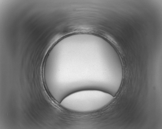 X0000078881283200611131044