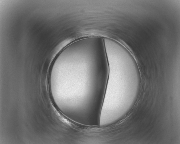 X0000078881293200611131044