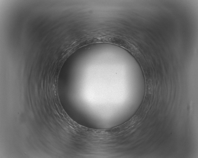 X0000078881298200611131043