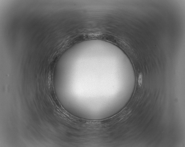 X0000078881299200611131043
