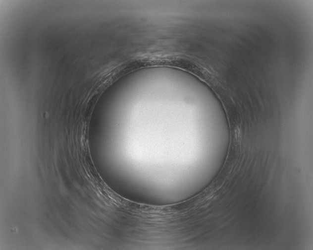 X0000078881300200611131043