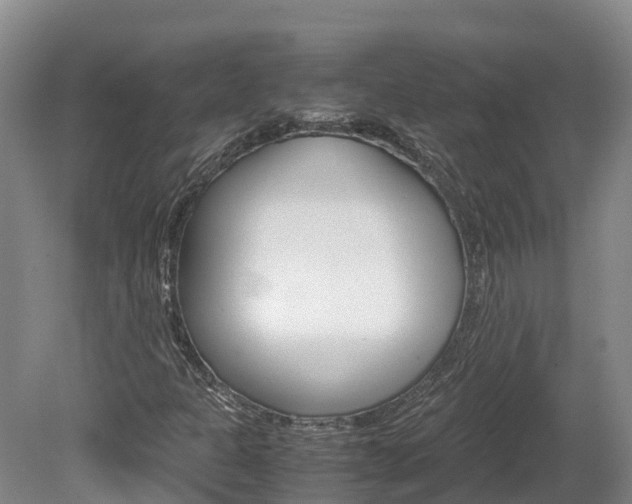 X0000078881301200611131043