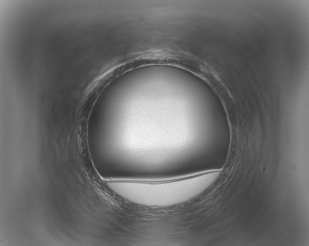 X0000078881304200611131043