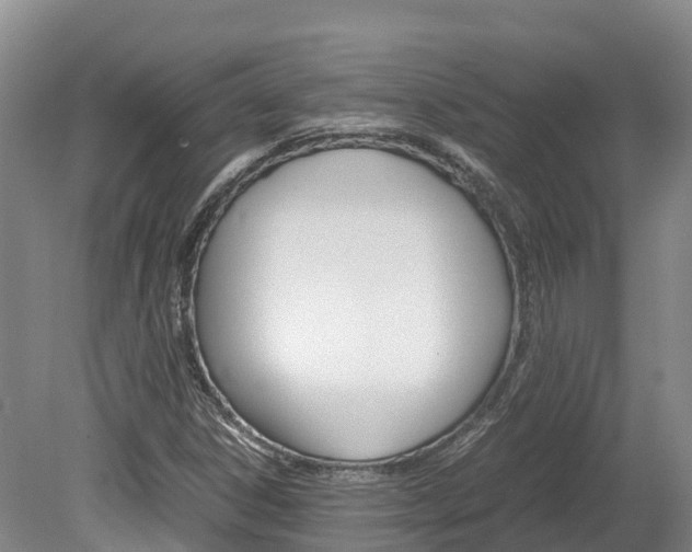 X0000078881306200611131043