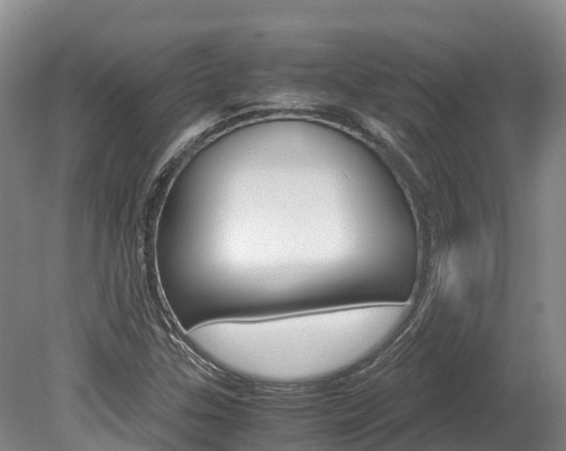 X0000078881307200611131043
