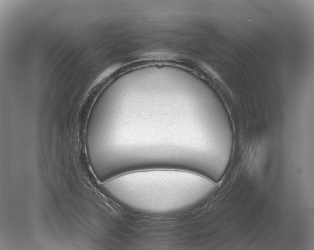 X0000078881315200611131043