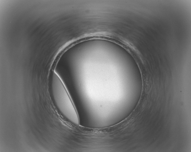X0000078881316200611131043