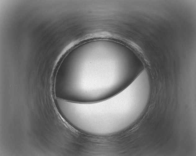 X0000078881326200611131044