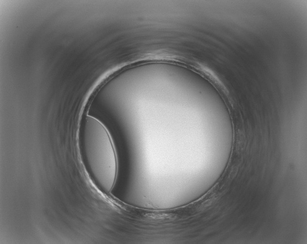 X0000078881331200611131044