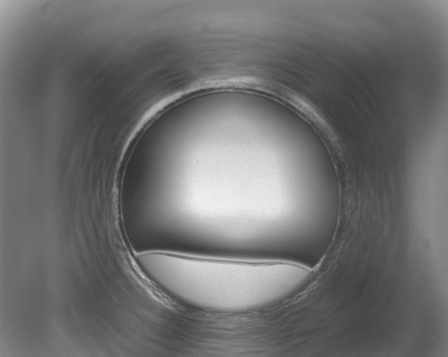 X0000078881332200611131044