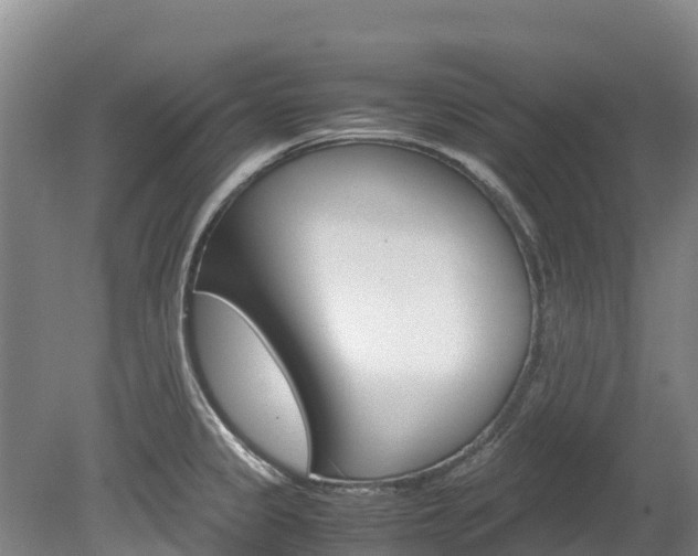 X0000078881333200611131044