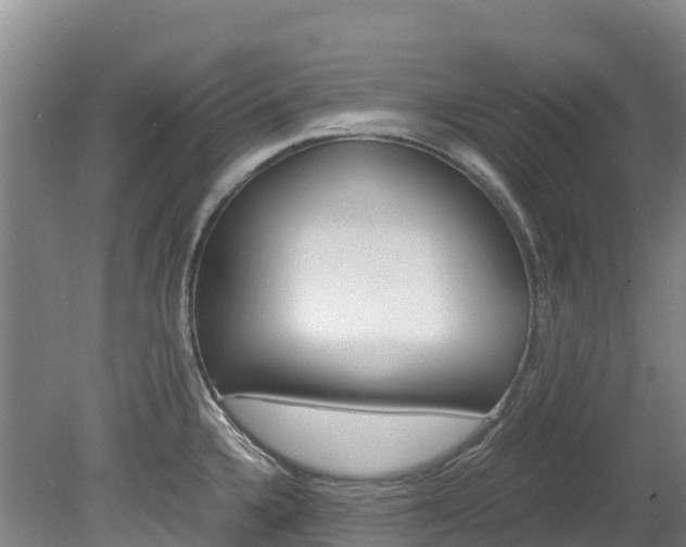 X0000078881336200611131044