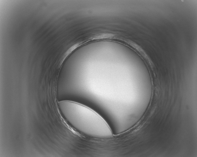 X0000078881337200611131044