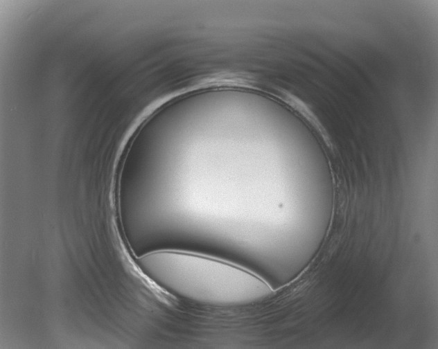 X0000078881339200611131044