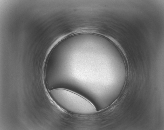 X0000078881341200611131044