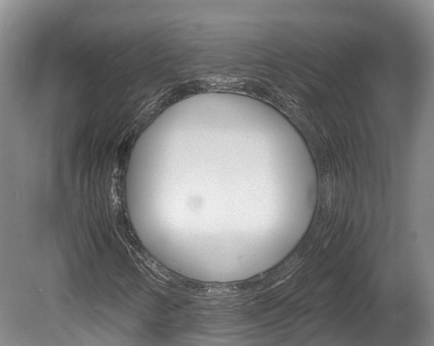 X0000078881346200611131043