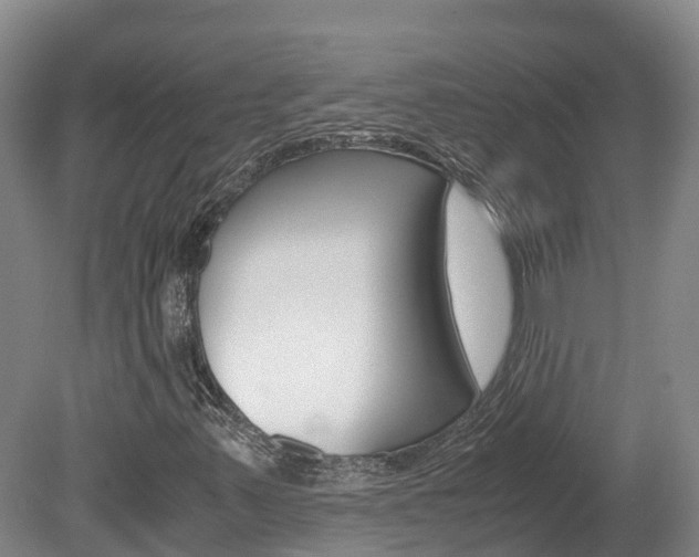 X0000078881347200611131043