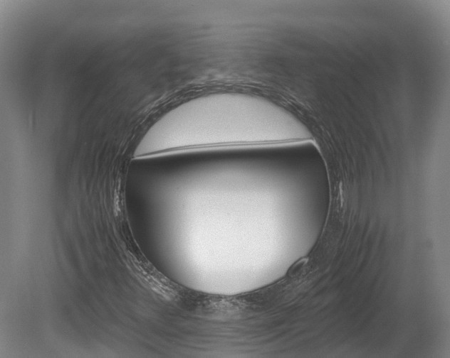 X0000078881348200611131043