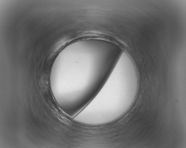X0000078881355200611131043