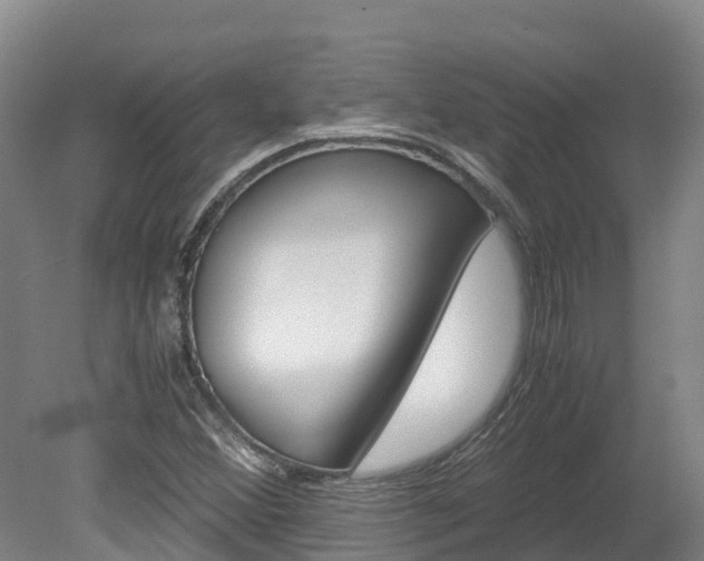 X0000078881356200611131043