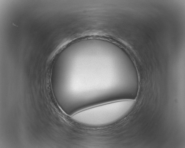 X0000078881359200611131043