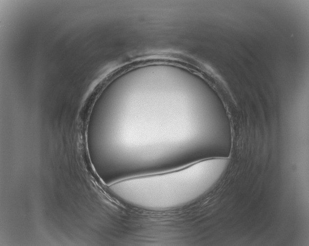 X0000078881360200611131043