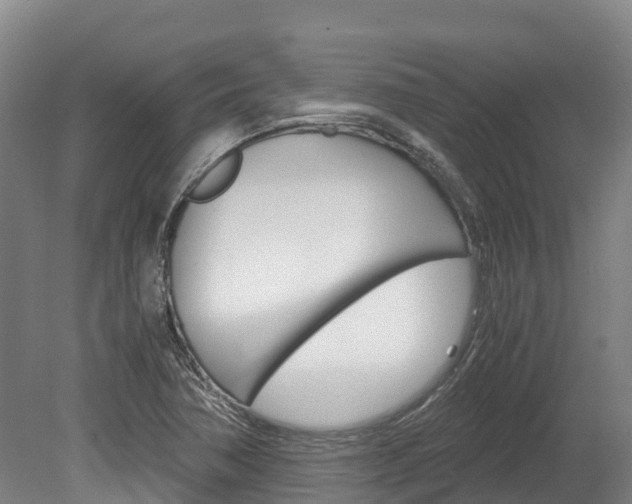 X0000078881362200611131043