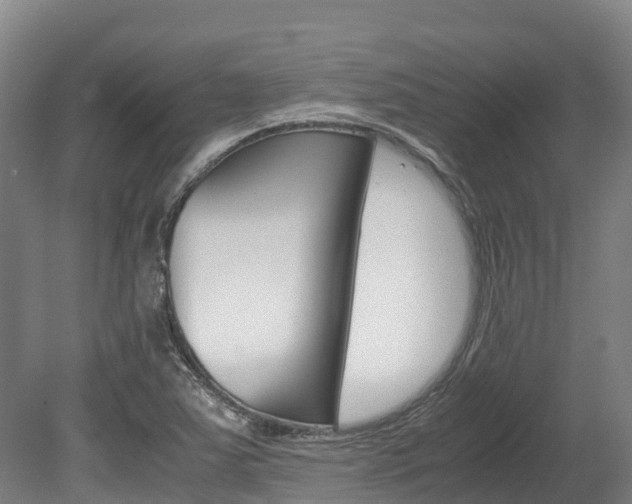 X0000078881363200611131043