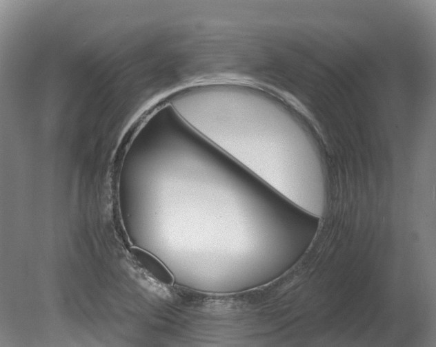 X0000078881364200611131043