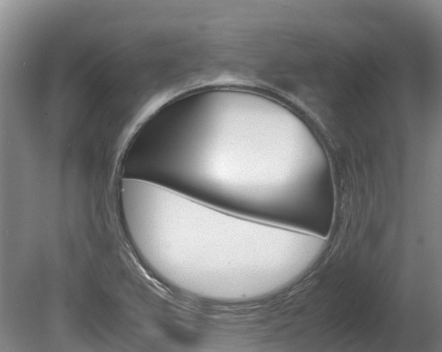 X0000078881367200611131043