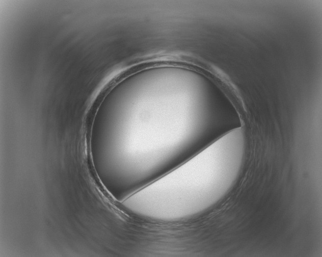 X0000078881368200611131043