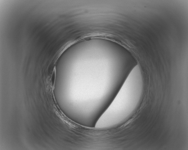X0000078881369200611131043