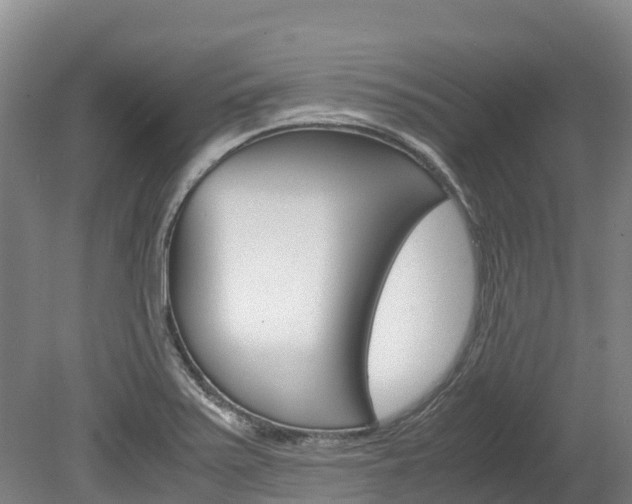 X0000078881371200611131043