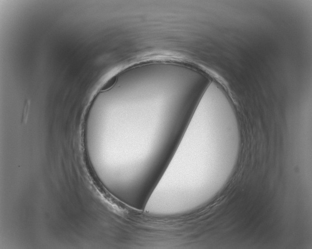 X0000078881375200611131043