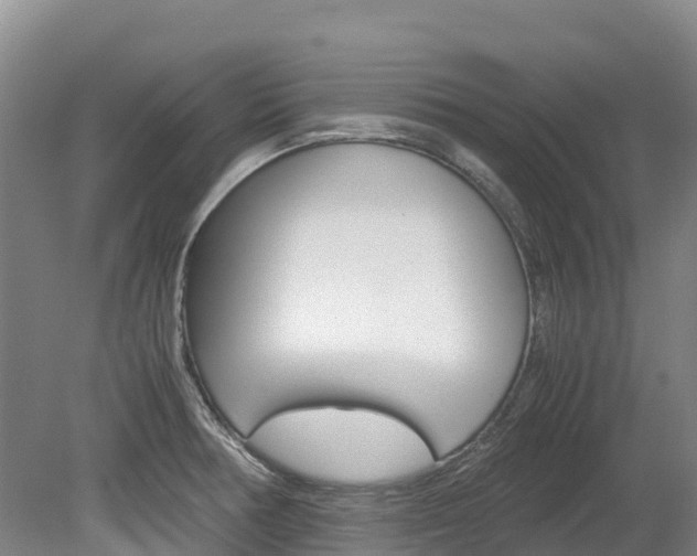 X0000078881378200611131043