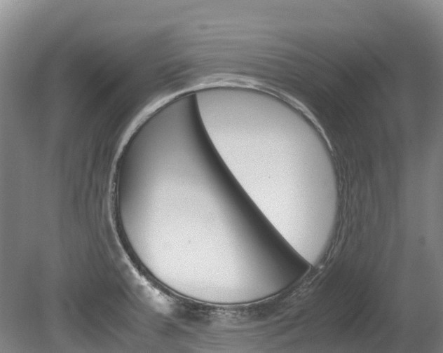 X0000078881379200611131043
