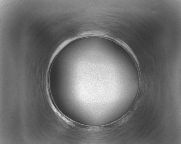 X0000078881389200611131042