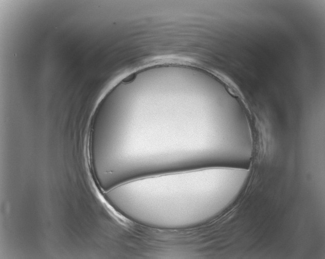X0000078881391200611131042