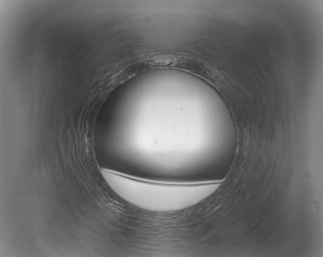 X0000078881394200611131042