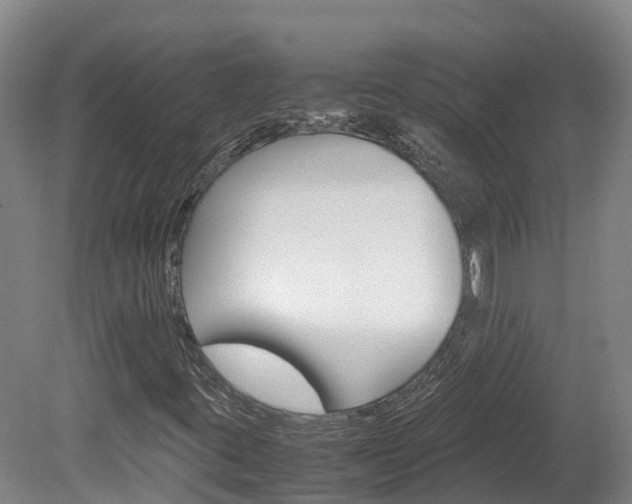 X0000078881395200611131042