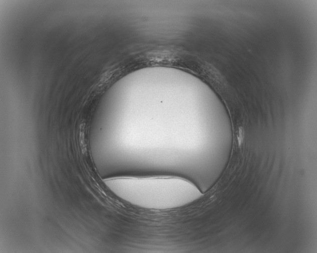 X0000078881396200611131042