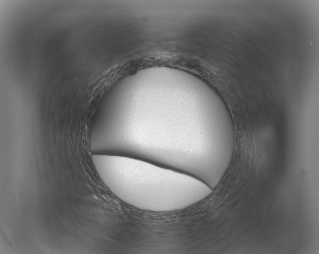 X0000078881397200611131042
