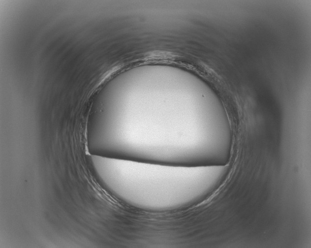 X0000078881401200611131042