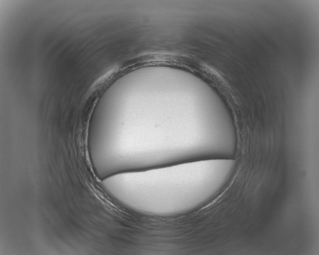 X0000078881403200611131042