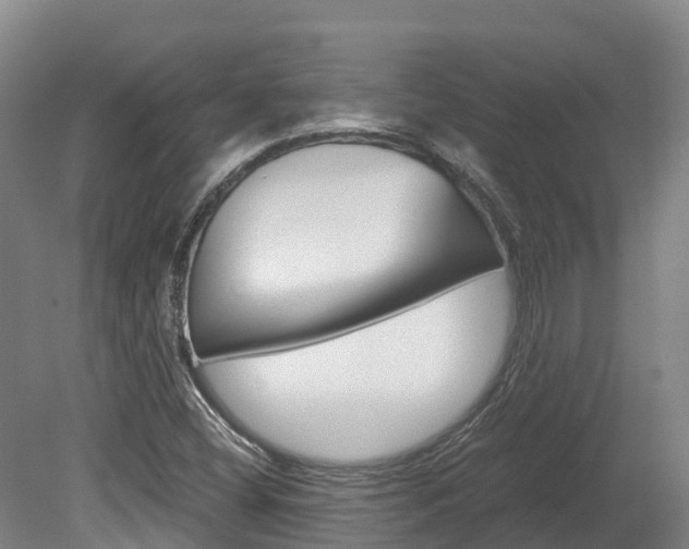 X0000078881404200611131042