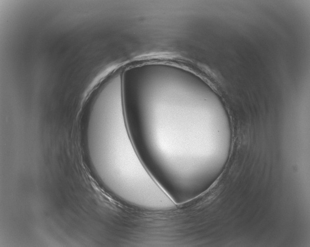 X0000078881406200611131042